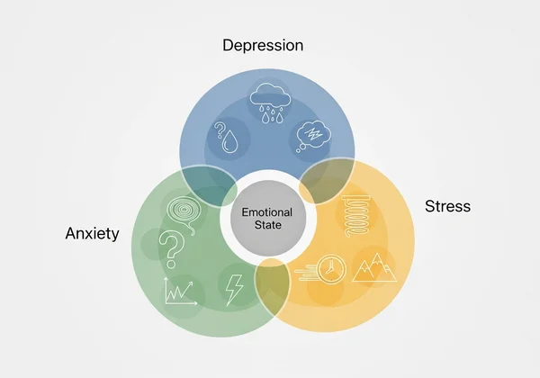 DASS-21 showing depression, anxiety, and stress components.